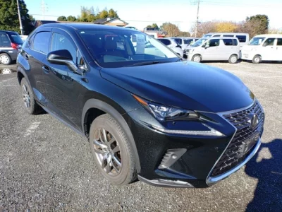 Lexus NX  с аукциона в Японии