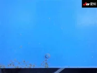 Isuzu GIGA лот № 8557 оценка 3.5  с аукциона в Японии 8