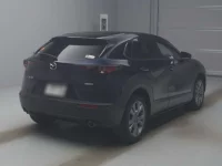 Mazda CX-30 лот № 20101 оценка R  с аукциона в Японии 1