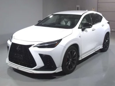 Lexus NX  с аукциона в Японии