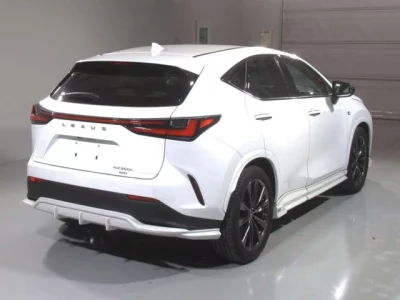 Lexus NX  с аукциона в Японии