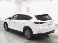Mazda CX-8 лот № 4070 оценка 3.5  с аукциона в Японии 1