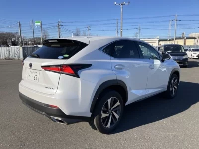 Lexus NX  с аукциона в Японии