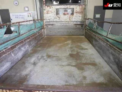 Mazda TITAN  с аукциона в Японии