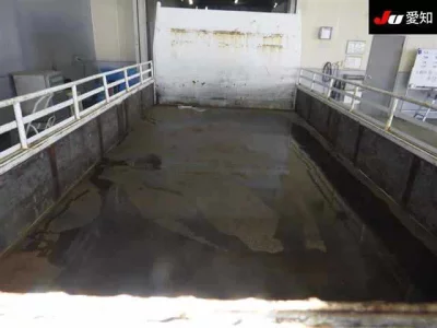 Mitsubishi CANTER  с аукциона в Японии