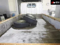 Nissan ATLAS лот № 20128 оценка 3  с аукциона в Японии 3