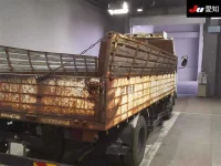 Mitsubishi FUSO TRUCK лот № 8097 оценка 3.5  с аукциона в Японии 7