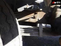 Hino RANGER лот № 8636 оценка 3.5  с аукциона в Японии 6