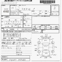 Toyota RACTIS лот № 4102 оценка 3  с аукциона в Японии 7