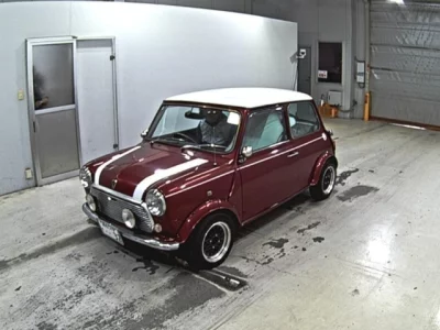 Rover MINI