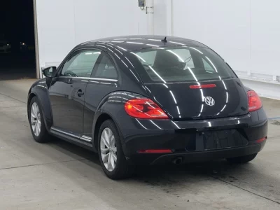 Volkswagen THE BEETLE