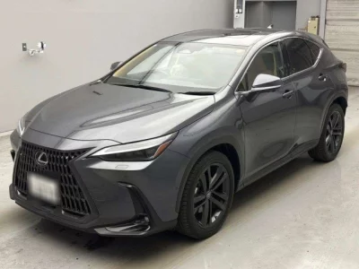 Lexus NX  с аукциона в Японии