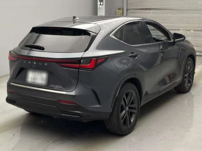 Lexus NX  с аукциона в Японии
