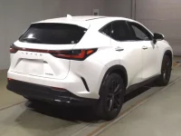 Lexus NX лот № 10005 оценка 3.5  с аукциона в Японии 1