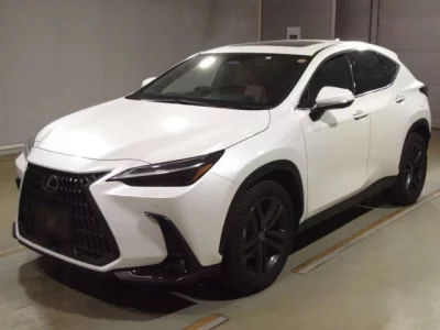 Lexus NX  с аукциона в Японии