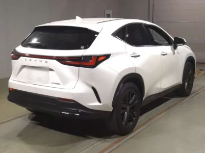 Lexus NX  с аукциона в Японии
