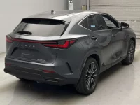 Lexus NX лот № 10011 оценка R  с аукциона в Японии 1