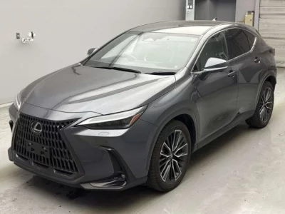 Lexus NX  с аукциона в Японии