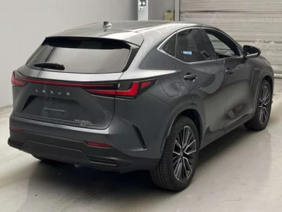 Lexus NX  с аукциона в Японии