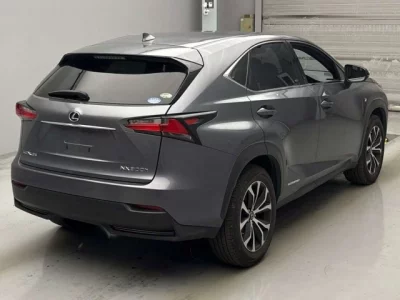 Lexus NX  с аукциона в Японии