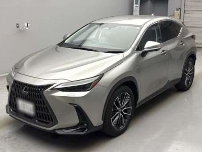 Lexus NX  с аукциона в Японии