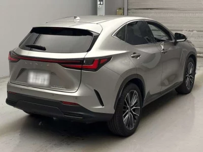Lexus NX  с аукциона в Японии