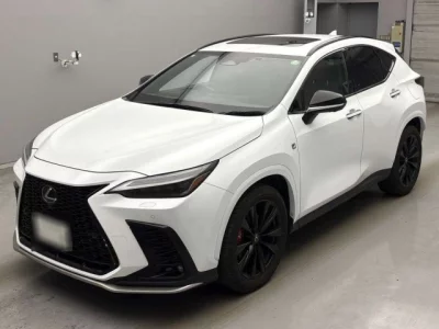 Lexus NX  с аукциона в Японии