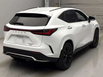 Lexus NX  с аукциона в Японии