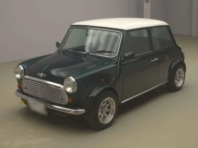 Rover MINI
