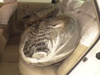 Nissan TEANA лот № 60272 оценка 4  с аукциона в Японии 6