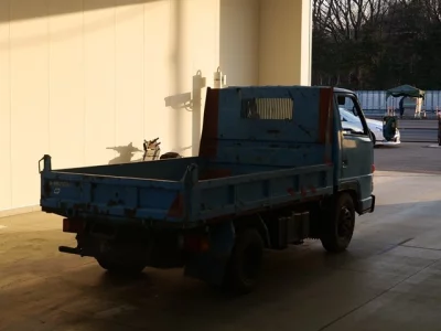 Isuzu ELF  с аукциона в Японии
