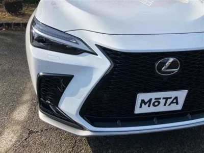 Lexus NX  с аукциона в Японии