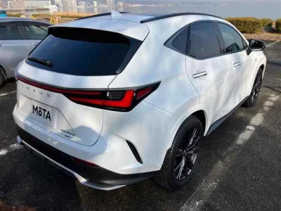 Lexus NX  с аукциона в Японии