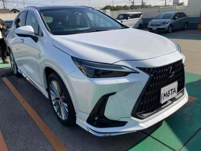 Lexus NX  с аукциона в Японии