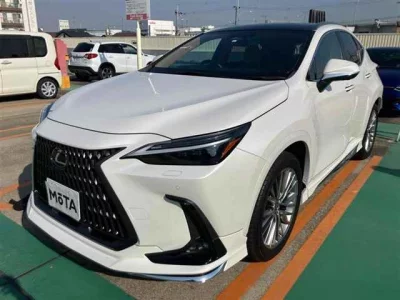 Lexus NX  с аукциона в Японии