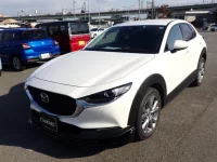 Mazda CX-30 лот № 36003 оценка 3.5  с аукциона в Японии 4