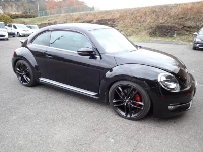 Volkswagen THE BEETLE