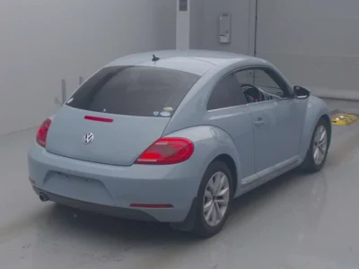 Volkswagen THE BEETLE