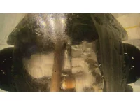 Honda N WGN лот № 18 оценка 6  с аукциона в Японии 10