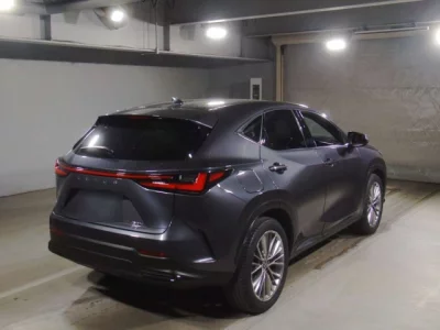 Lexus NX  с аукциона в Японии