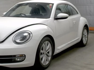 Volkswagen THE BEETLE