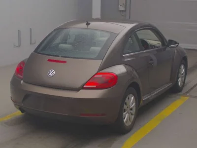 Volkswagen THE BEETLE