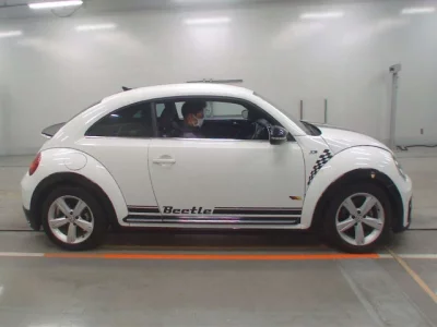 Volkswagen THE BEETLE
