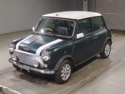 Rover MINI