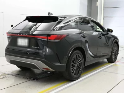 Lexus RX  с аукциона в Японии
