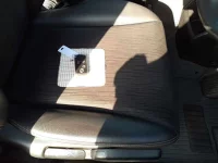 Honda FREED лот № 30403 оценка 3.5  с аукциона в Японии 9