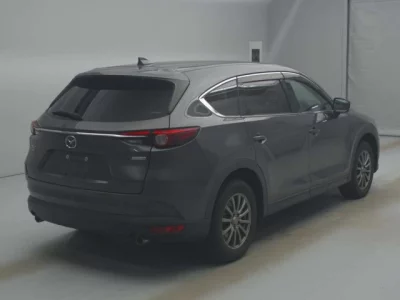 Mazda CX-8  с аукциона в Японии