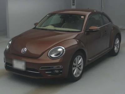 Volkswagen THE BEETLE