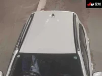 Suzuki SX-4 лот № 30099 оценка 3.5  с аукциона в Японии 8