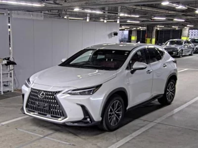 Lexus NX  с аукциона в Японии